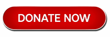 Donate Now button