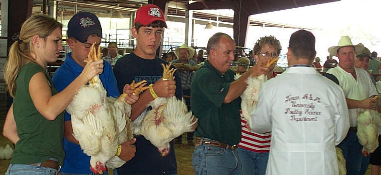 Burleson Co. Fair